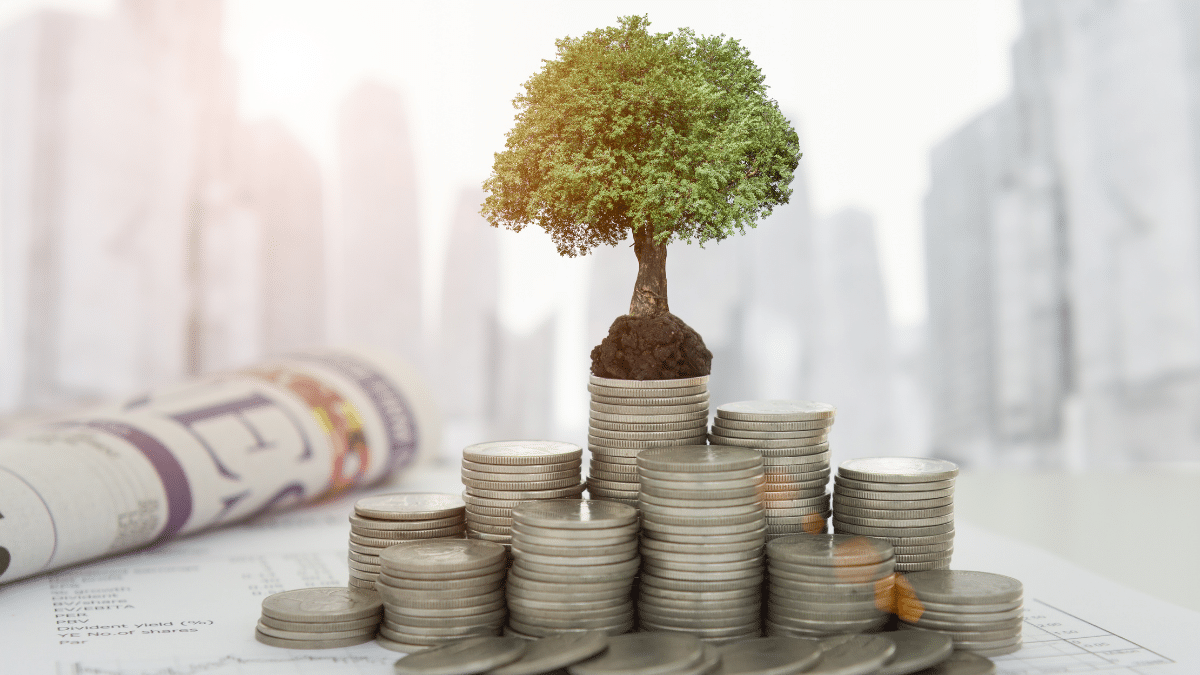 Investment Basics