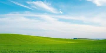 Sustainable investing and ESG portfolio tips for beginners